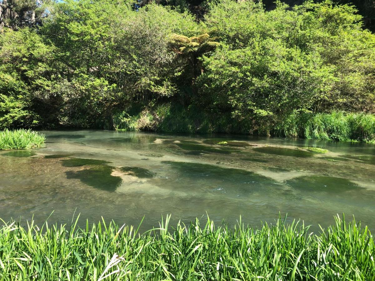 A1 Troutfishing At Tirau Villa Kültér fotó